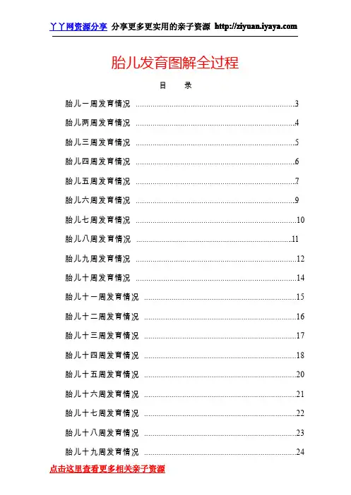 《胎儿发育图解全过程》