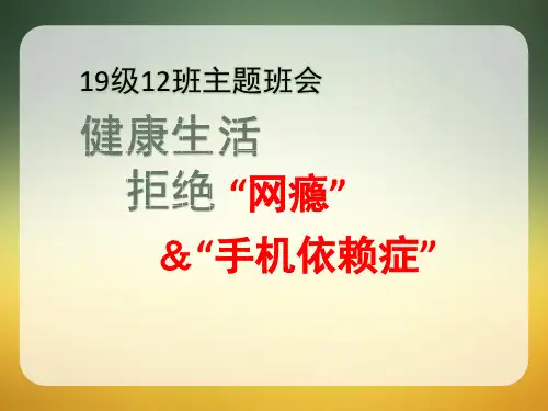 中学19级12班“沉迷网络的危害”主题班会(共25张PPT)