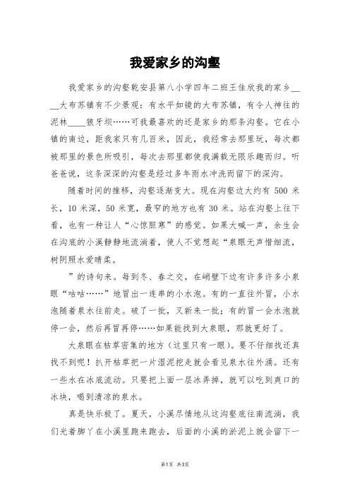 我爱家乡的沟壑_高二作文
