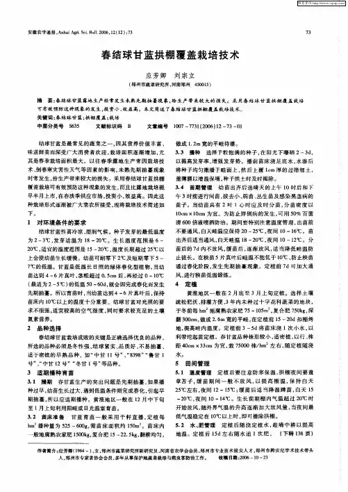 春结球甘蓝拱棚覆盖栽培技术