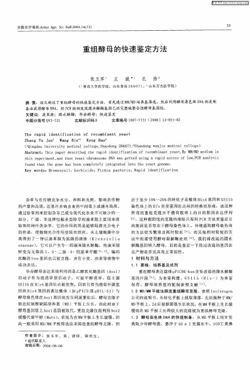 重组酵母的快速鉴定方法