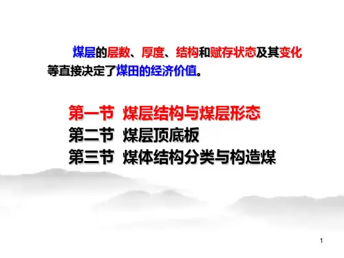 第三章煤层