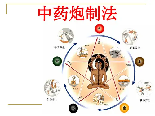 中药炮制的方法