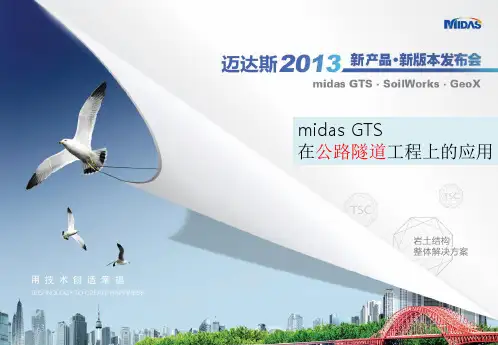 midas GTS公路隧道整体解决方案(影响分析_检测加固_方案优选)