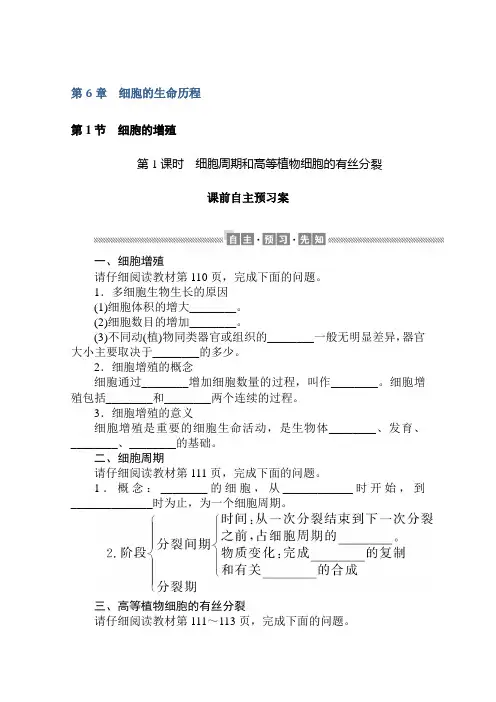 2020-2021学年高一生物新教材人教版必修1学案：第6章 第1节 第1课时 细胞周期和高等植物细胞的有丝分裂
