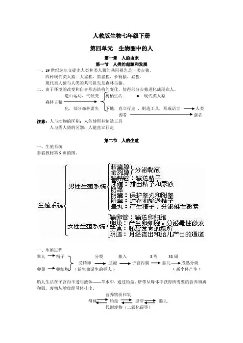 人教版生物七年级生物下册复习提纲