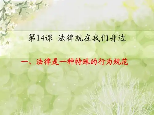 14.1法律是一种特殊的行为规范