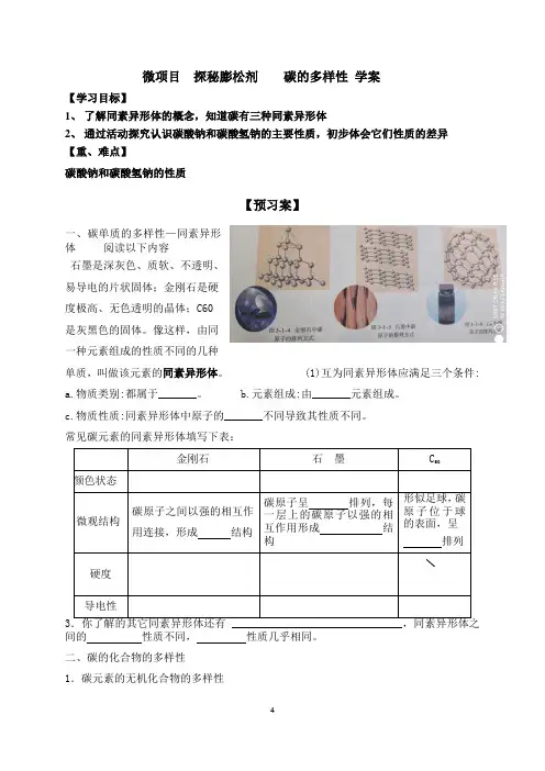 高中化学讲义：微项目探秘膨松剂碳的多样性学案