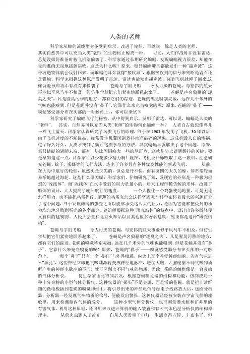 人类的老师