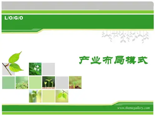 产业布局模式剖析