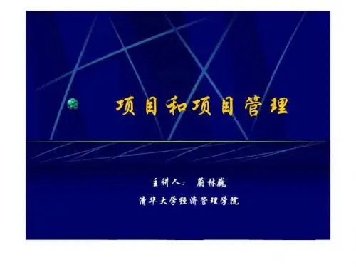 项目和项目管理
