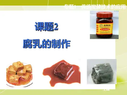 高中生物选修一腐乳的制作课件