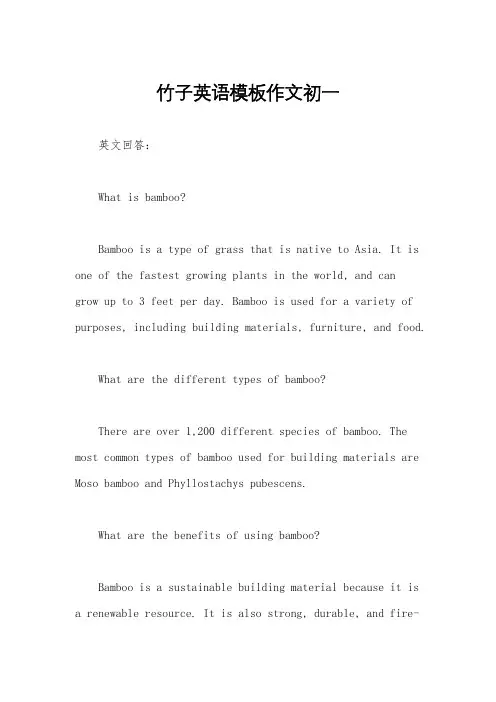 竹子英语模板作文初一