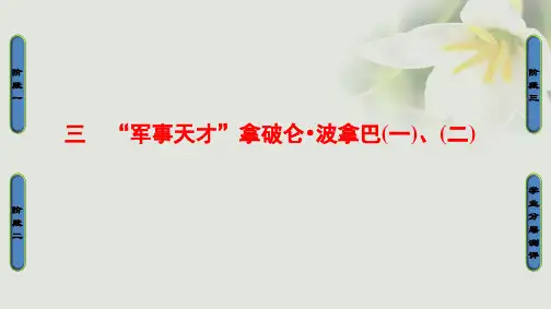高中历史专题3欧美资产阶级革命时候的杰出人物三“军事天才”拿破仑波拿巴(一)、(二)课件人民版选修4