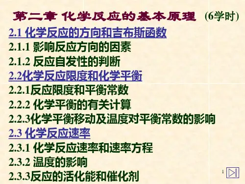 普通化学化学反应的基本原理资料