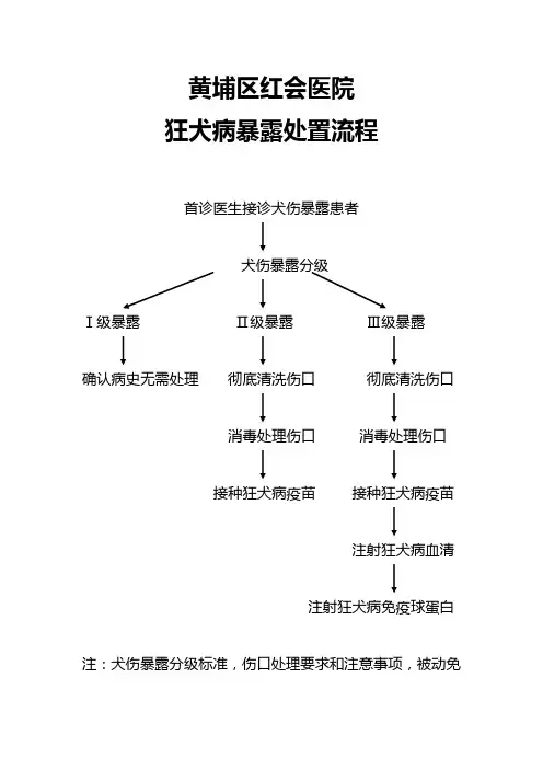 犬伤暴露处置流程