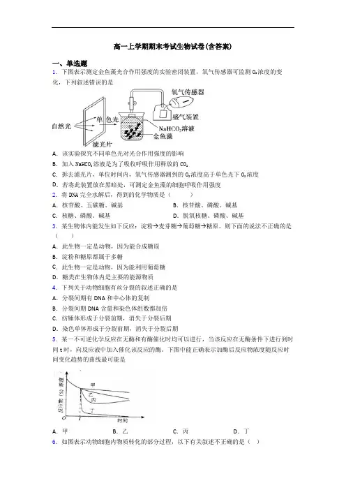 高一上学期期末考试生物试卷(含答案)