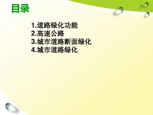 城市道路景观分析