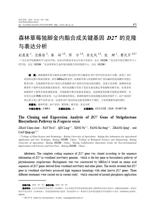 森林草莓独脚金内酯合成关键基因D27的克隆与表达分析