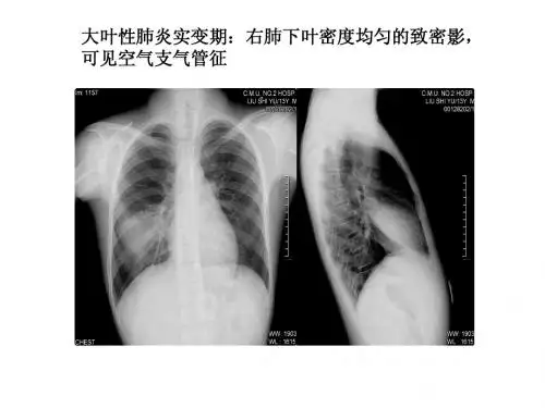 实践考试答案
