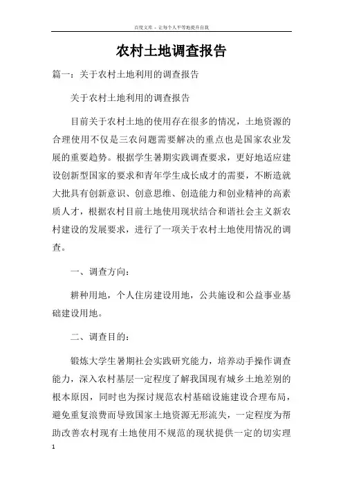 农村土地调查报告doc