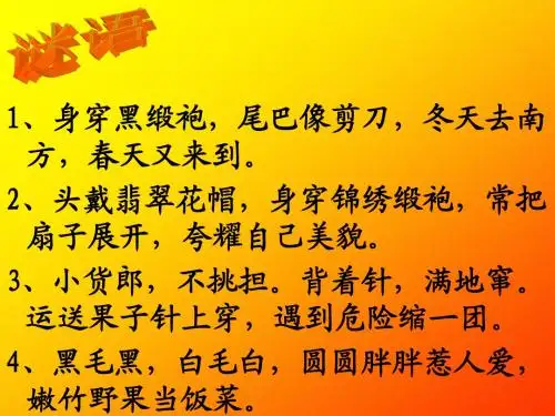 给动物设计名片.ppt1.ppt,好的
