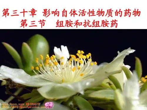 第30章  影响自体活性药