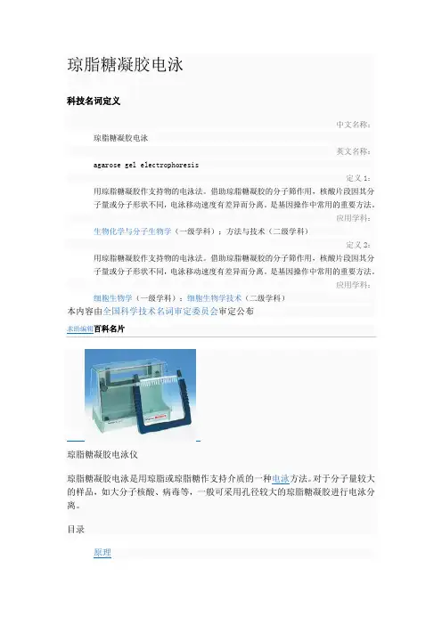 琼脂糖凝胶电泳