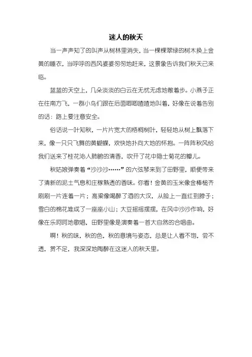 三年级作文：迷人的秋天作文400字_2