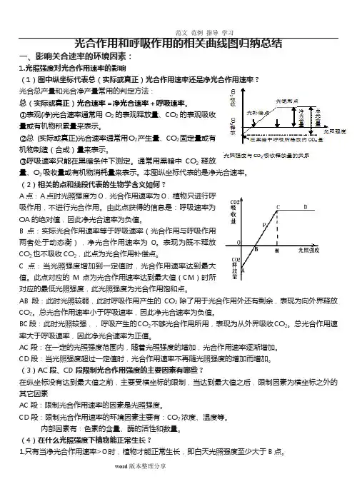 呼吸作用和光合作用曲线图的分析报告