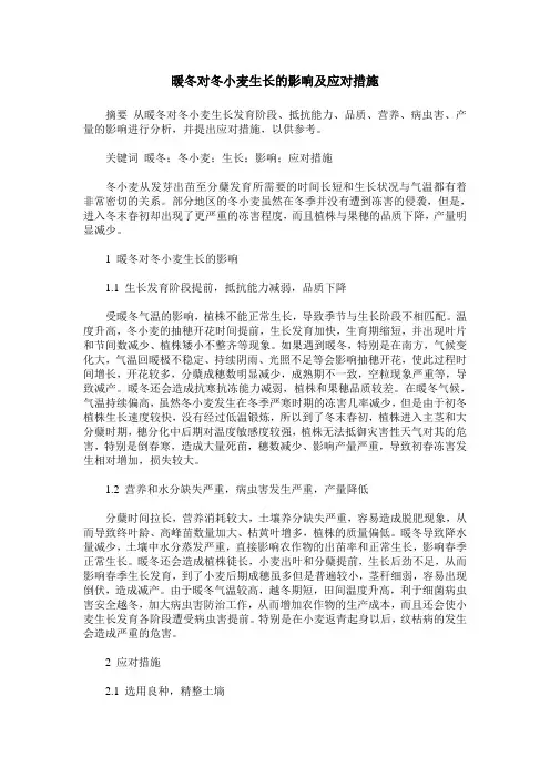 暖冬对冬小麦生长的影响及应对措施