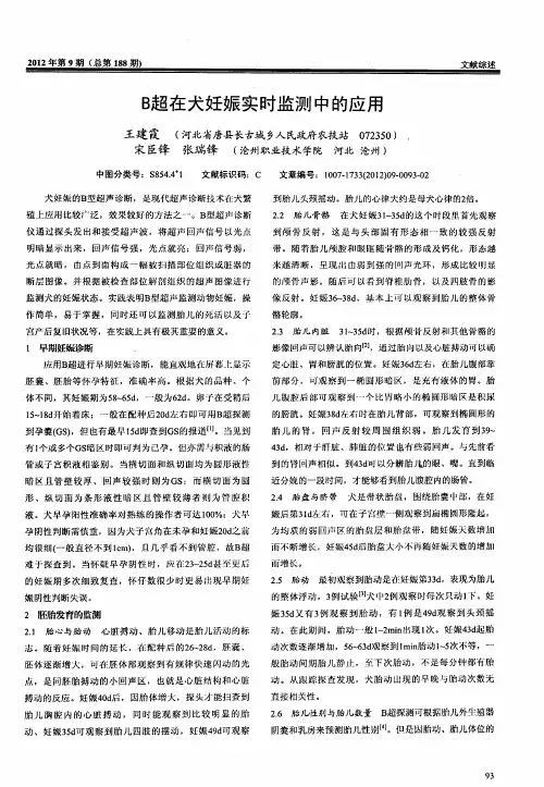 B超在犬妊娠实时监测中的应用