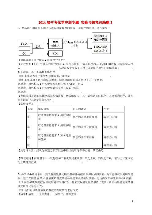 2014届中考化学冲刺专题 实验与探究训练题3