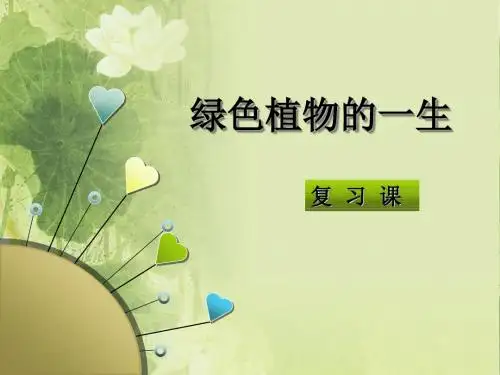 (人教版)被子植物的一生PPT课件2