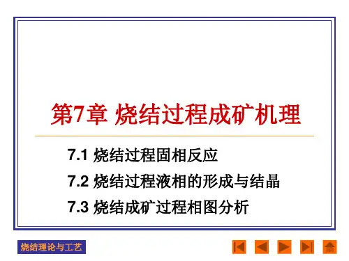 第七章 烧结过程成矿机理