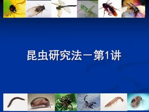 昆虫研究法-第1讲-绪论