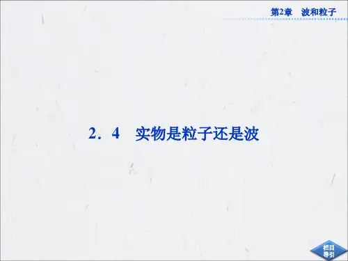 第2章2.4实物是波还是粒子解析