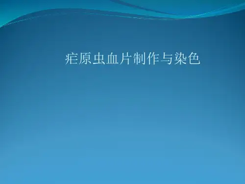 01血片制作与染色