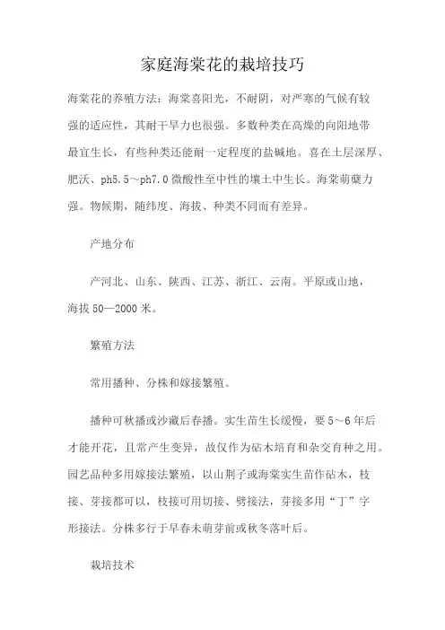 家庭海棠花的栽培技巧