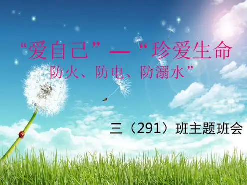 防火防电防溺水-主题班会资料