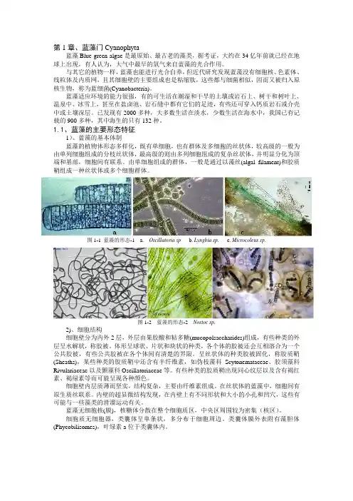 第1章蓝藻门