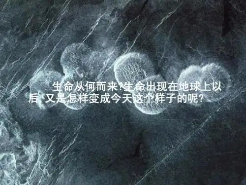 人教版八下生物地球上生命的起源