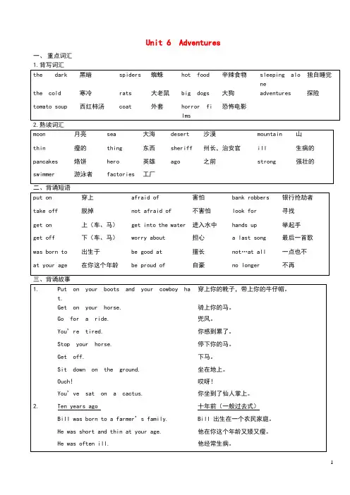 2020春五年级英语下册Unit6Adventures单元知识梳理剑桥版