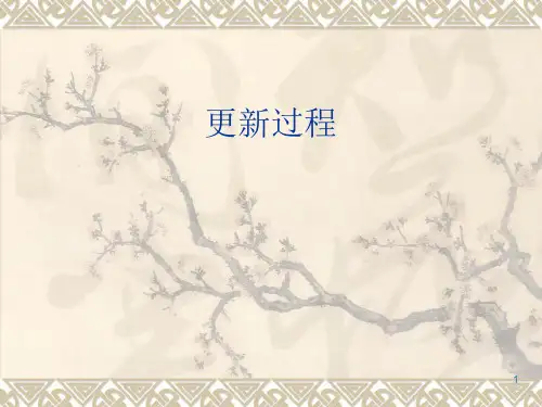 更新过程ppt课件