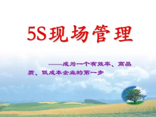 5S现场管理