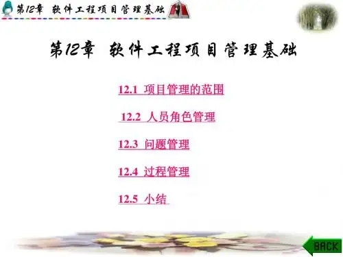 第12章软件工程课件
