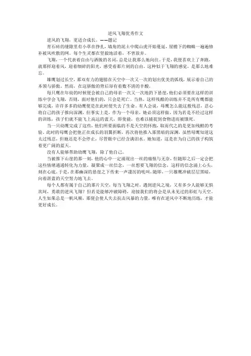 逆风飞翔优秀作文