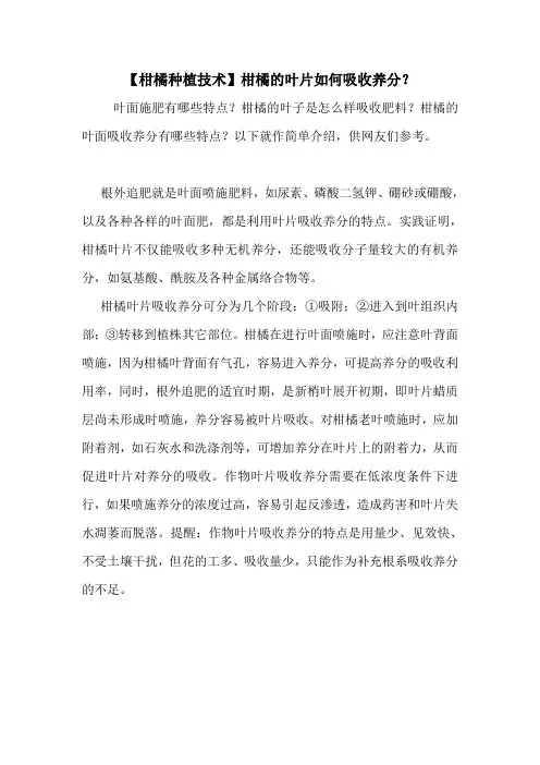【柑橘种植技术】柑橘的叶片如何吸收养分？