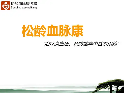 松龄血脉康PPT课件