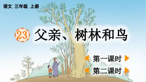 部编新人教版小学语文三年级上册《父亲、树林和鸟》PPT课件